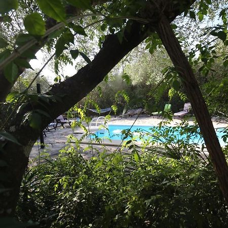 Tikal Boungalows Hotel Malcocinado  Bagian luar foto