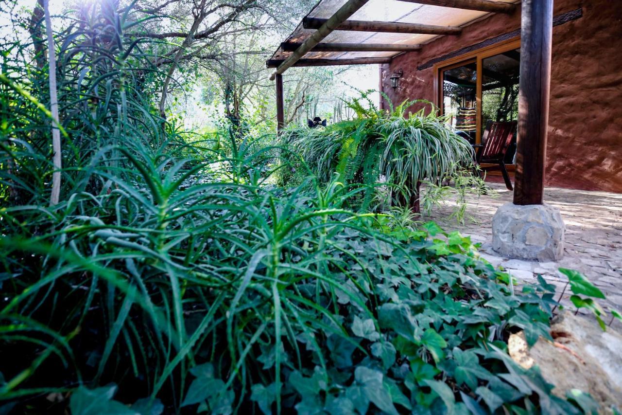 Tikal Boungalows Hotel Malcocinado  Bagian luar foto