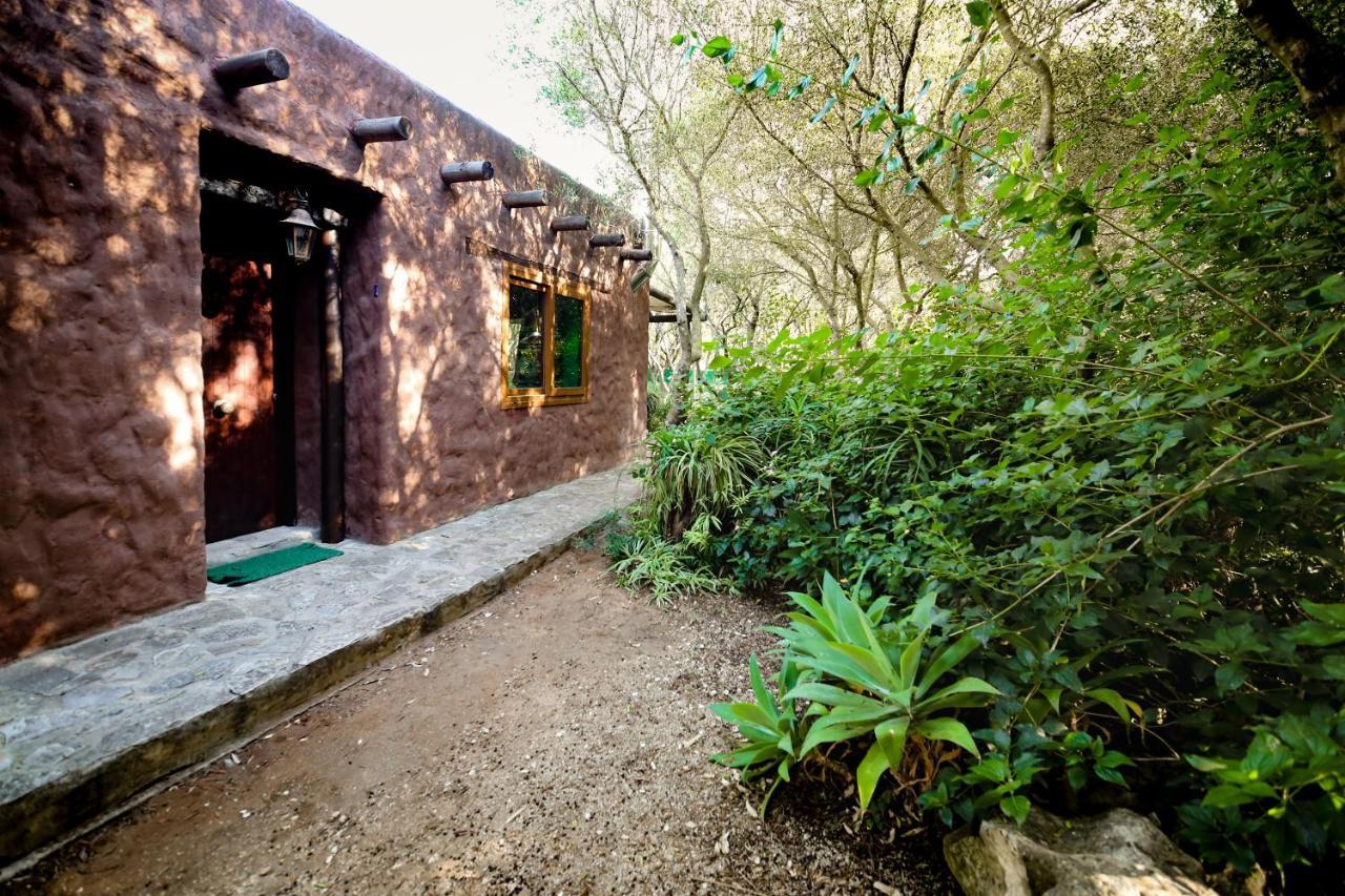 Tikal Boungalows Hotel Malcocinado  Bagian luar foto
