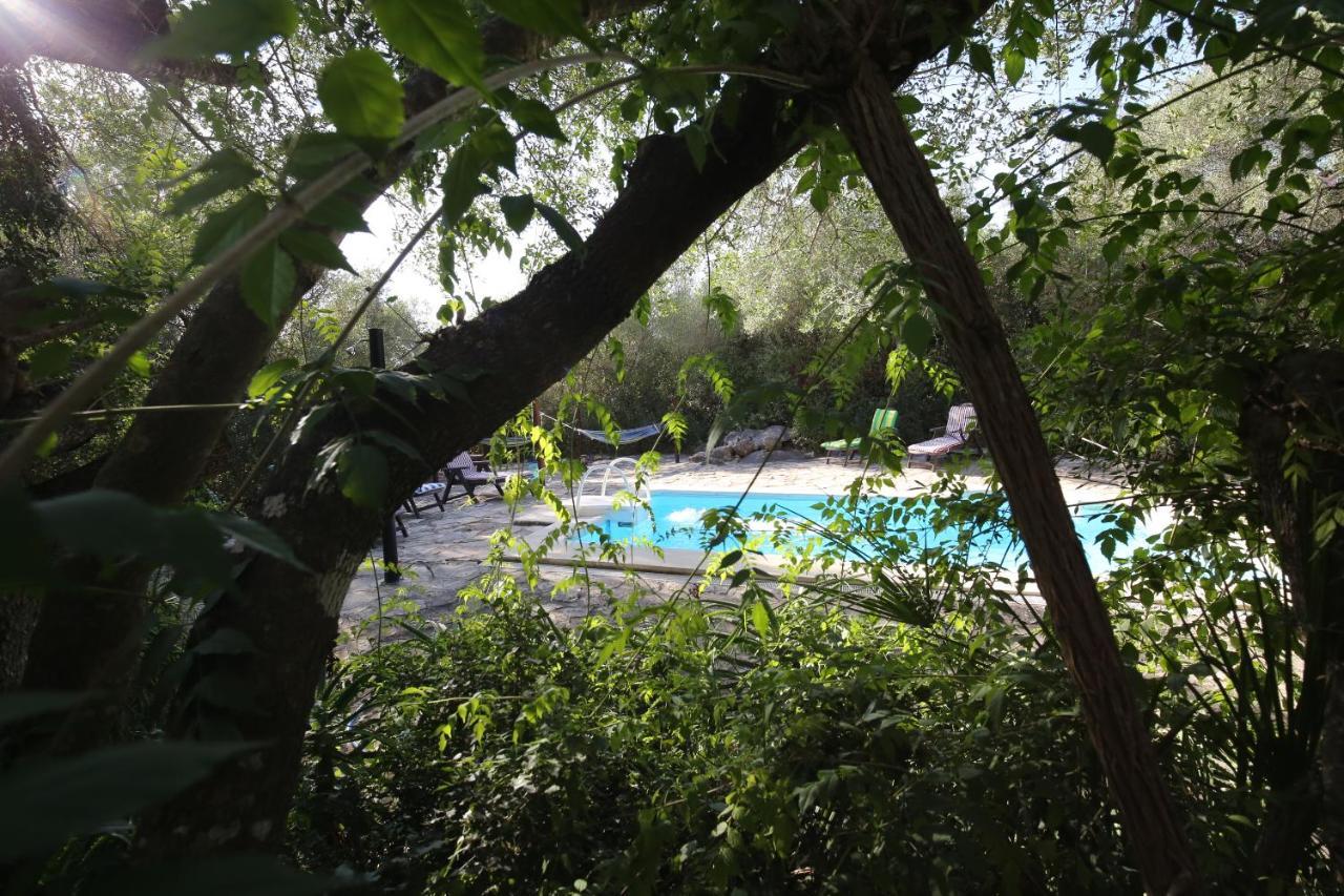 Tikal Boungalows Hotel Malcocinado  Bagian luar foto